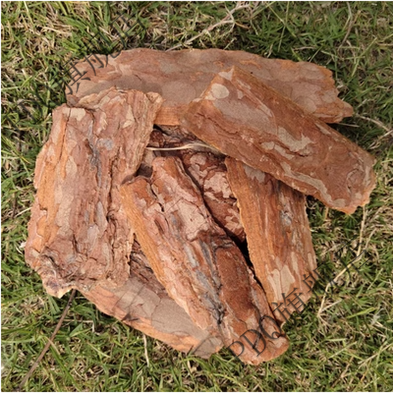 江苏松树皮松鳞树皮块天然树穴有机覆盖物树皮大块游乐场花园铺面