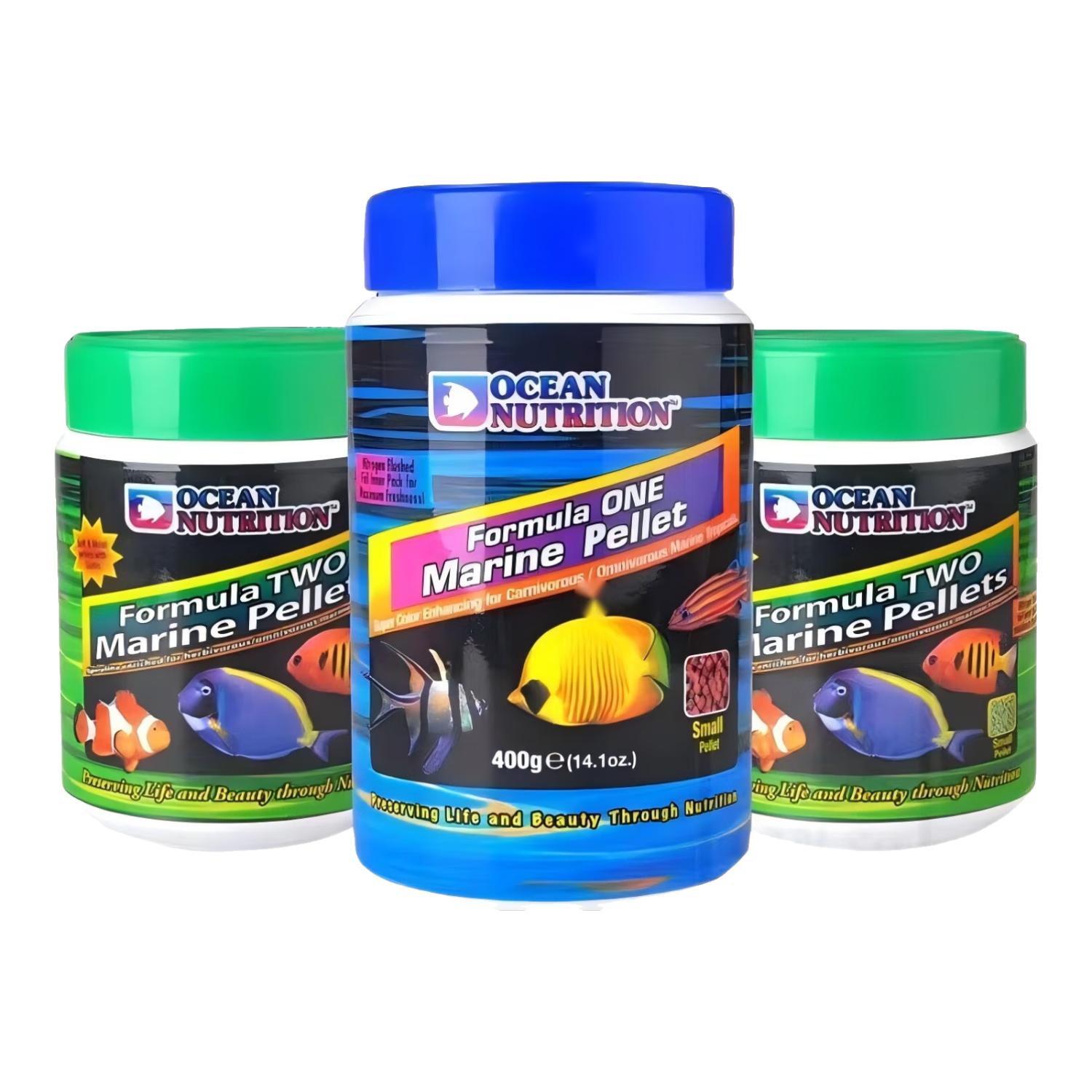 魚麒麟海水魚飼料海魚開口魚食加蒜小顆粒腦類珊瑚糧葷素食薄片豐年蝦糧 海葵專用美味顆粒100g