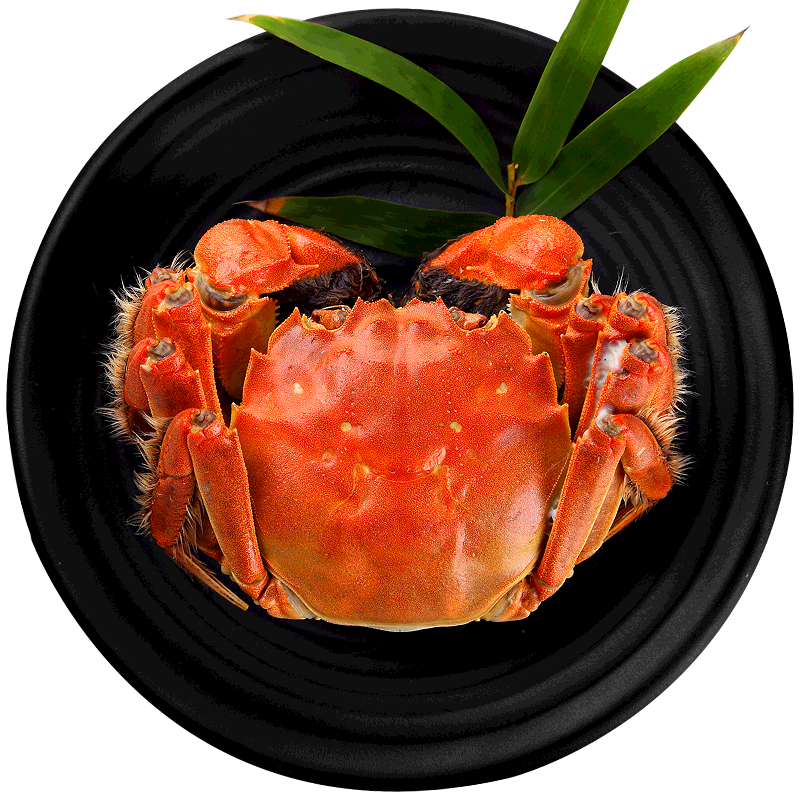 【活蟹】（网兜蟹）水淼鲜洪湖大闸蟹鲜活螃蟹现货生鲜实物水产 全公蟹2斤装(10-15只)