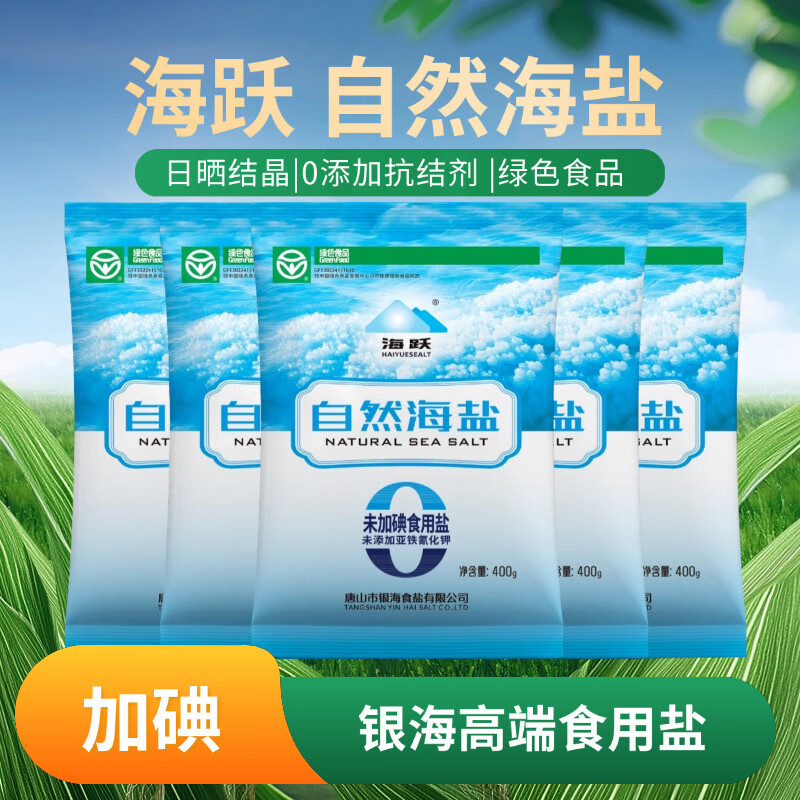 海跃绿色食品级自然海盐400g【未加碘】日晒海盐无抗结剂食用盐 绿色食品级自然海盐400gX5袋