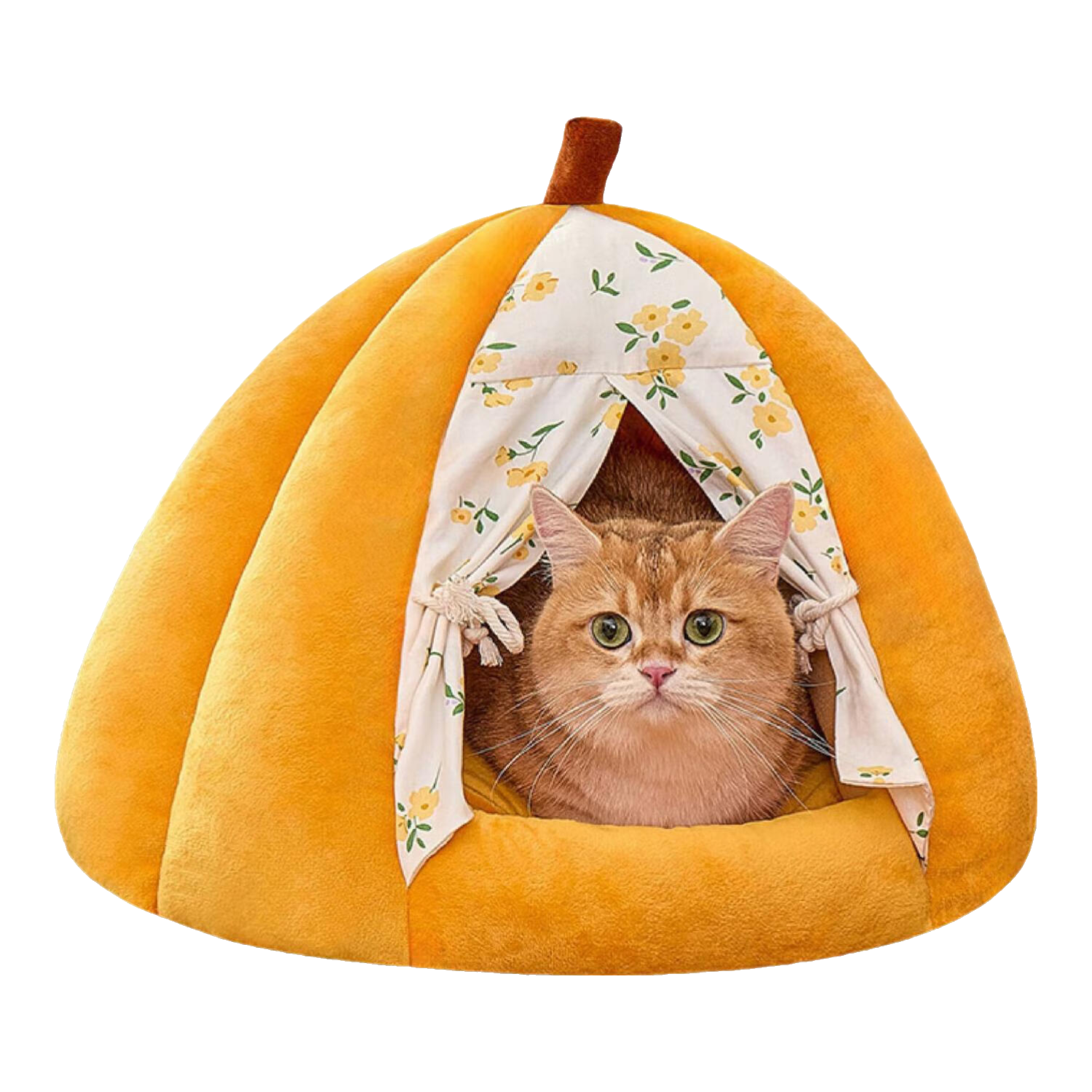 ���ڲ�����������è�ѱ�ů�������ʽè��è����è�������ļ�ͨ�ð�ȫ���Ϲ϶���� �Ϲ��ɸ��ѡ�������ů������ M���ʺ�12���ڳ�� �ɲ�ϴ/��˯������ 51.53Ԫ