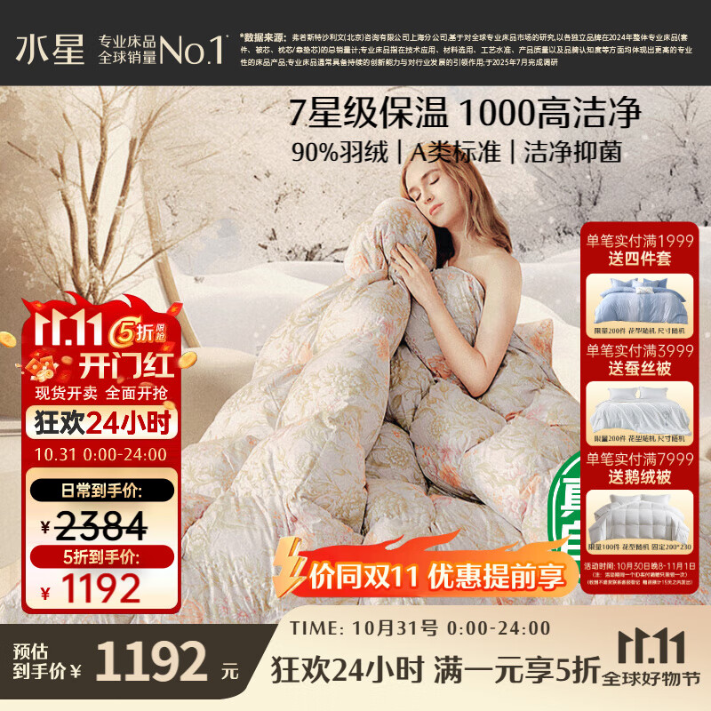 水星家纺羽绒被子白鸭绒被子冬季加厚冬被芯双人羽绒被220cm×240cm-1100g