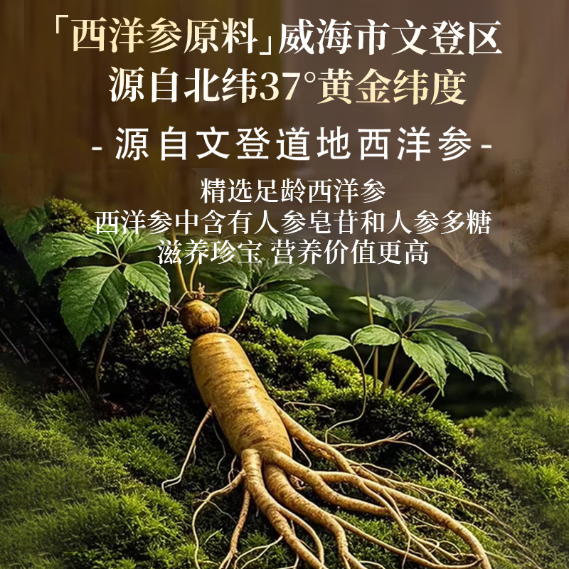 VADERNVA德国西洋参口服液礼盒装文登西洋参浓缩液送中老年人增强免疫礼品 买5送5/到手10盒【超值/滋补礼品礼物】 120支*10盒