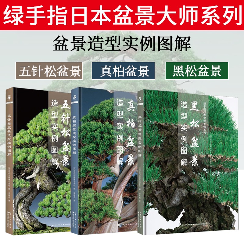 绿手指日本盆景大师系列3册 黑松 五针松 真柏盆景造型实例图解盆景