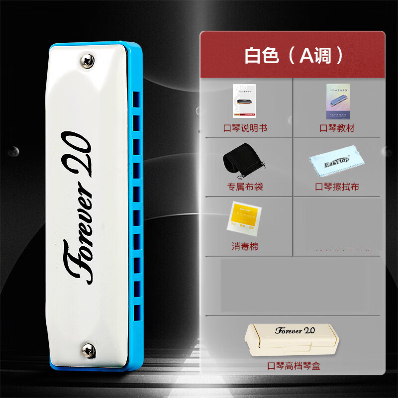 东方鼎（EAST TOP）口琴蓝调蓝调十孔10孔初学学生用paddy音调 白色A调