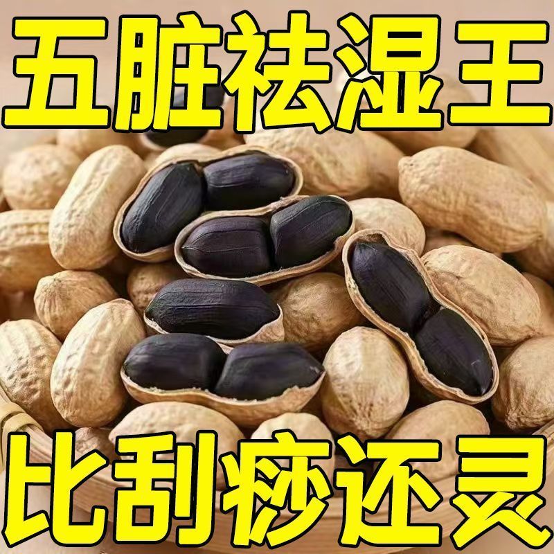 2025云南富硒黑花生老品种带壳养花生大包装健康养胃花生润喉糖 5斤 高品质富硒带壳黑花生