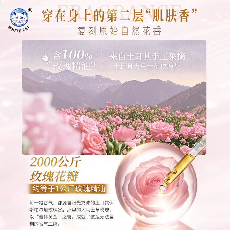 白猫花绽香氛洗衣液国际香氛大师出品持久留香30天除菌除螨防串色洗衣 1kg*4瓶【护色防串色】