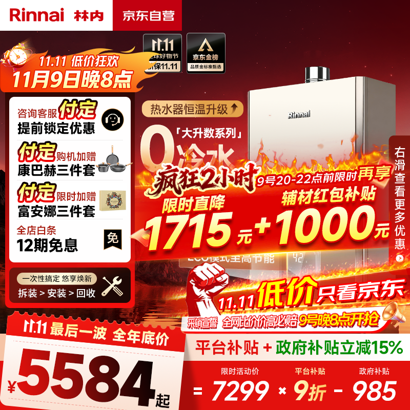 林内（Rinnai）【鲸吨吨蓝鲸】24L燃气热水器【国家补贴】零冷水大水量24GD61R（JSQ47-GD61R）