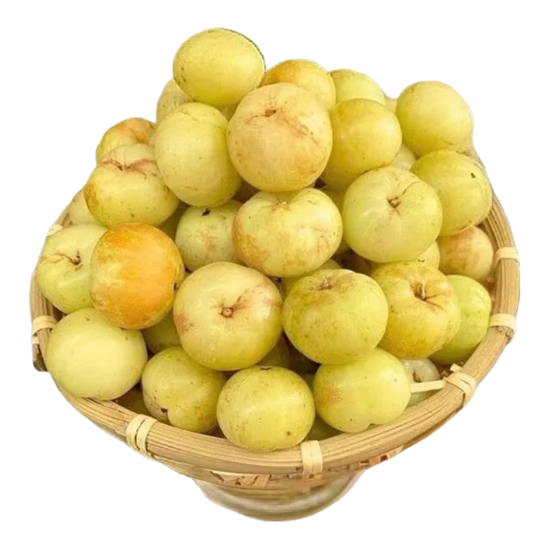 ڳݸɽ͸̹ˮʹţʹʲֱ ͸̹  2 6.99Ԫ