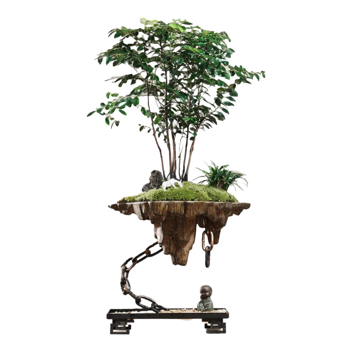 �����֮���辰��СҶ�ϺڹŲ���׮��ֲ�ߵ�����ʽֲ�����Ի��� �������֮��50-60��+ɳ��+С�� 67.9Ԫ