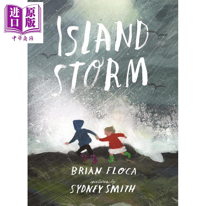 预售 小岛风暴 Sydney Smith Island Storm 英文原版 儿童绘本 图画故事书 了解天气和户外体验 进口精装童书 精美插图