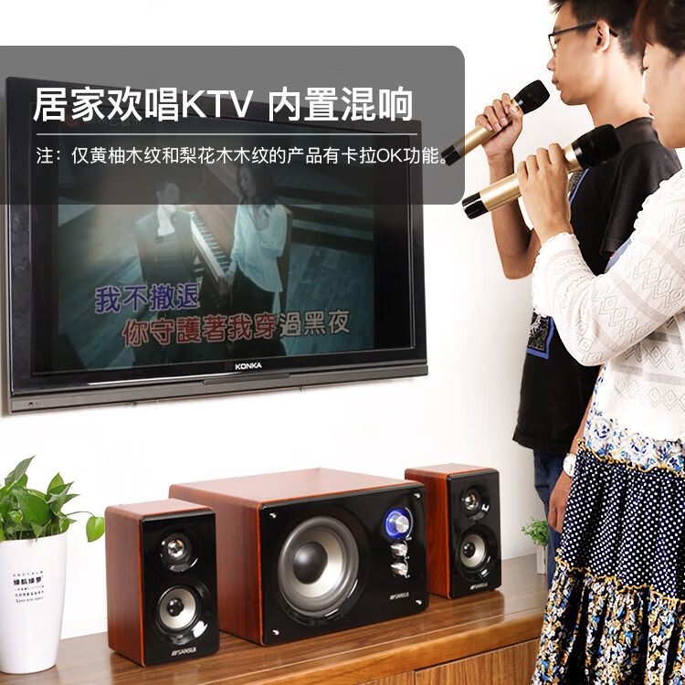 赛塔林(syitren)GS-6000(80A音响家用音箱超重低音炮台式电脑电 蓝牙版+双话筒插孔