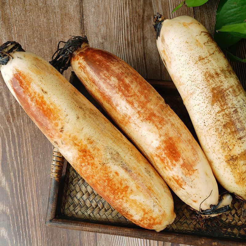 湖北洪湖粉藕/新鲜莲藕/带泥九孔藕/糯米藕/煲汤粉糯 5斤精选礼盒