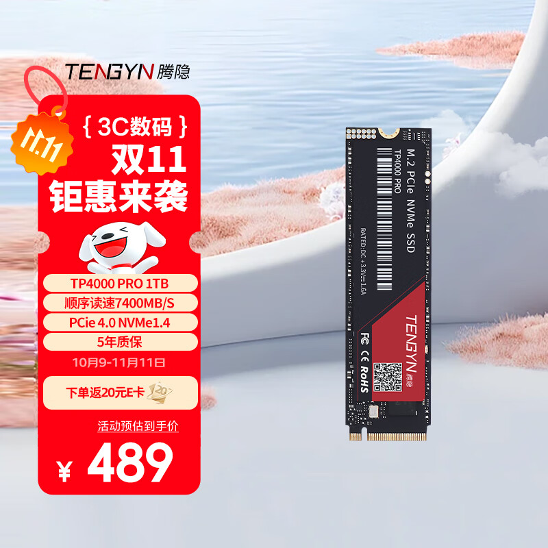 腾隐（TENGYIN）精选长江存储晶圆台式机笔记本SSD固态硬盘PCIe4.0 NVMe TP4000PRO 1TB 7400MB/S