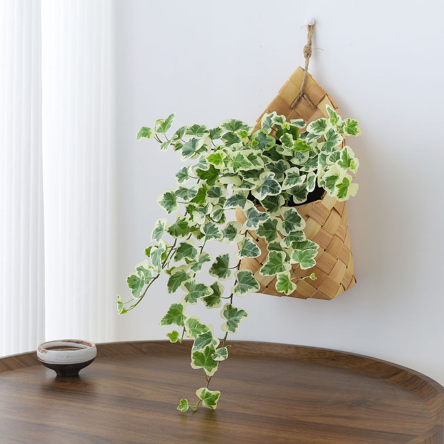 八芽雪莹常春藤植物盆栽室内客厅好养绿植懒人办公室桌面编织挂件盆景 雪莹常春藤-编织篮 含盆