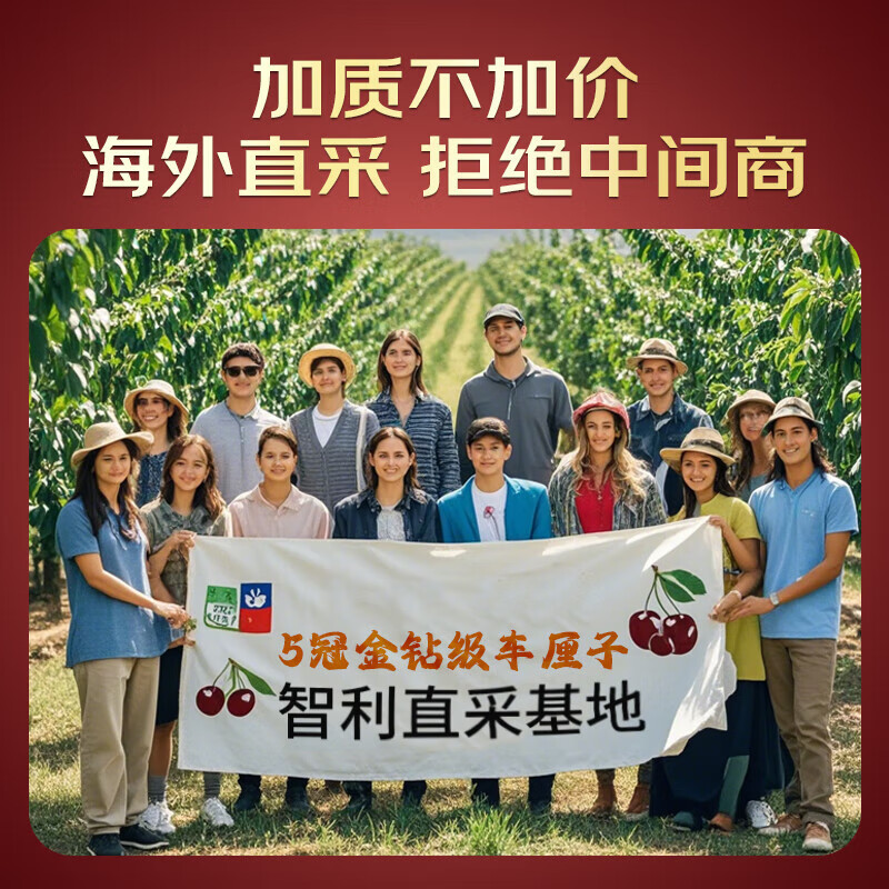京营觅选智利进口车厘子多地次日达大樱桃 当季整箱年货春节送礼水果礼盒 2.5kg(净重) 礼盒超大果2J 8-10g 多地次日达