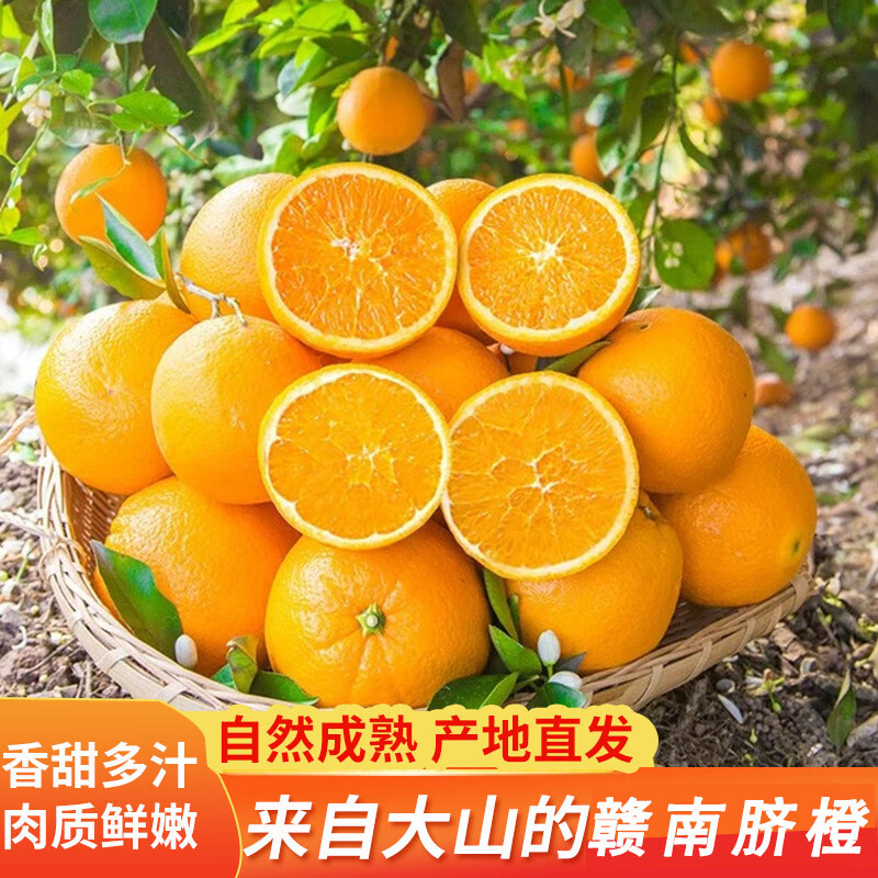 赣南脐橙江西正宗赣州脐橙 新鲜水果整箱孕妇手剥橙子 榨汁橙团购送礼盒 5斤甄选（净果4.5斤) 单果200g+ 源头直采 品质优选