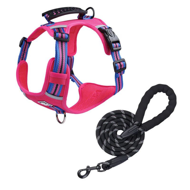 ���������ر���������޹����������С��Ȯ�ر������ֱ��Ŀ»�ǣ���� õ��+��ɫǣ���� XS