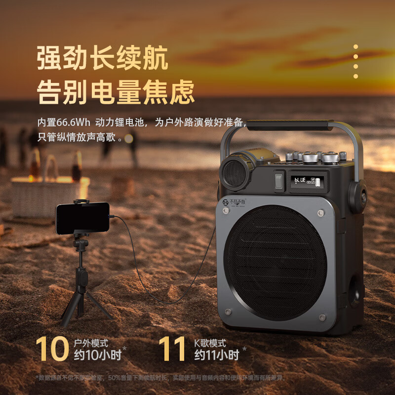 不见不散流浪者D6户外K歌音响客厅环绕声重低音炮手提便携式麦克风一体家庭KTV广场舞蓝牙音箱高音质大音量 【D6黑色-双麦版】无线直播与内录+U盘