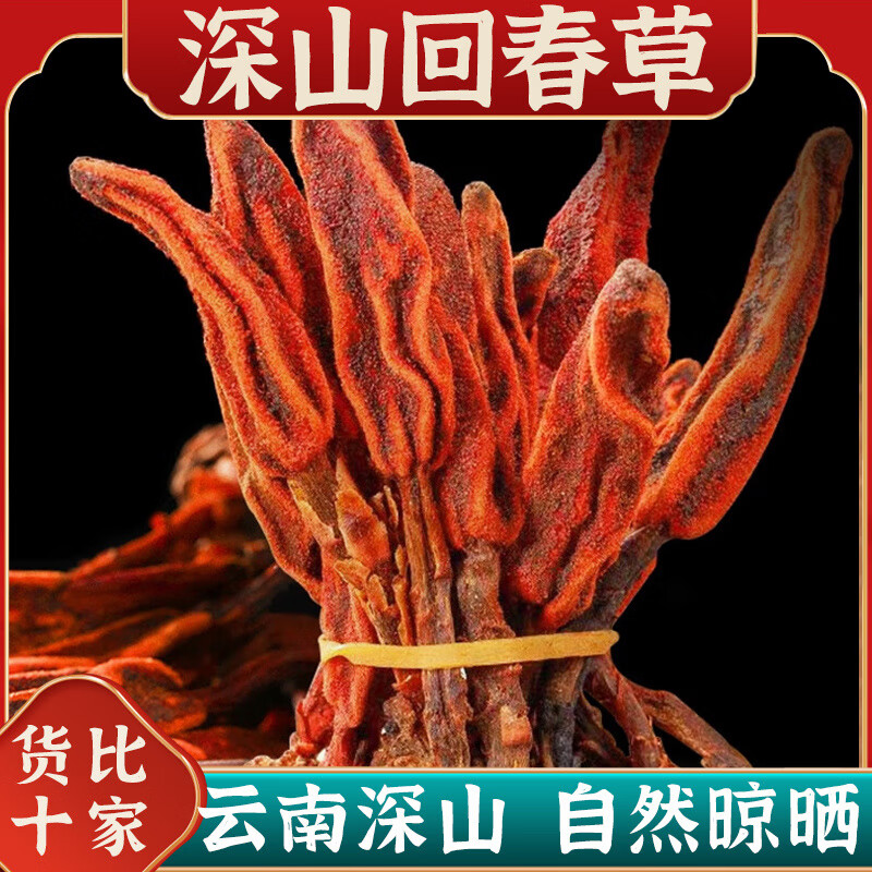 内廷上用精选云南野生回春草500g男性滋补顶天柱不老草茴椿草泡茶泡酒料 [罐装]回春草1000g