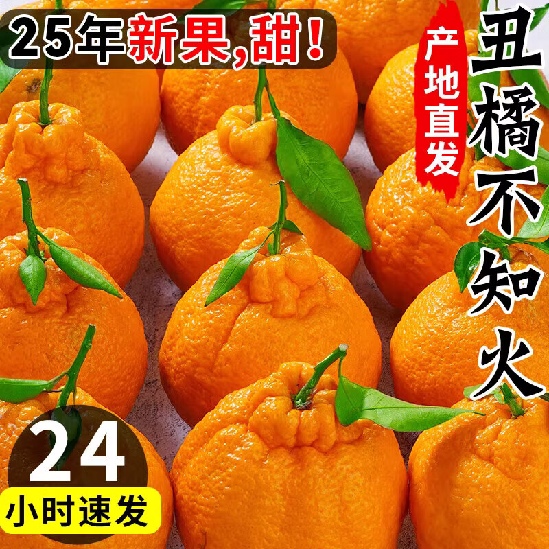 晟容果蔬丑橘四川不知火橘子应季新鲜水果桔子当季蜜桔粑粑柑10斤 【甄选果】果径60-70mm｜超甜 净重4.5-5斤【店长推荐-80%选择】