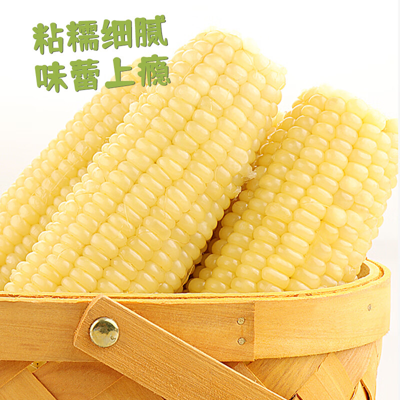 东北白糯玉米棒 新鲜甜糯玉米棒 代餐轻食真空包装黏粘玉米 东北白糯玉米200g*8棒