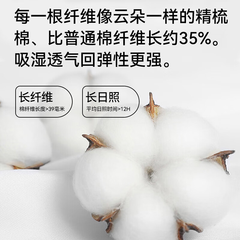 猫人男士内裤男生纯棉抗菌四角2026新款正品高档短裤平角透气3条装 黑色/深灰/咖啡 L 【推荐90-110斤】