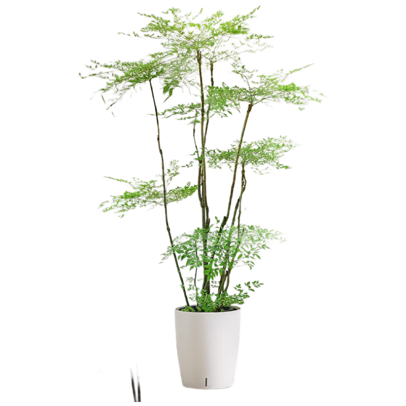 �����о�Ʒ���������ڰ칫�Ҵ�����ֲ���Կ����쾰�����ļ�����Դͷֱ��