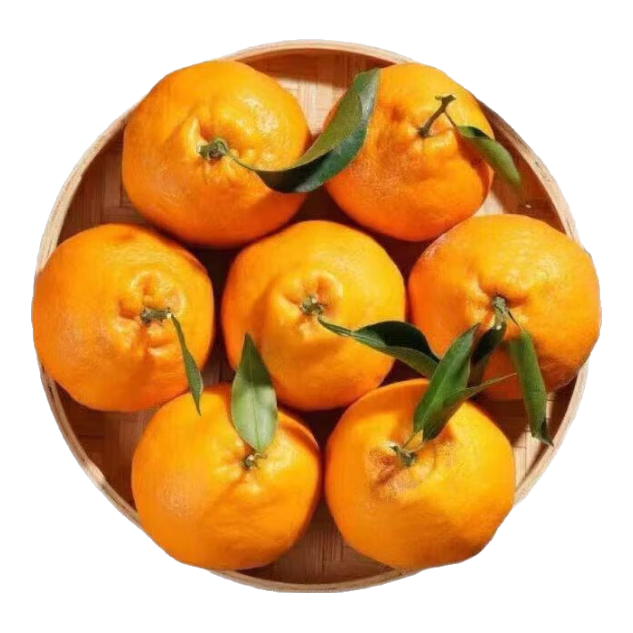 现摘高山丑橘当季新鲜时令水果薄皮多汁橘子 带箱3斤装