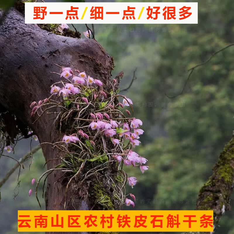 云南山区铁皮石斛干条源头产地铁皮石斛晒干条5年以上石斛条晒干 5年以上石斛条晒干1斤（500克）