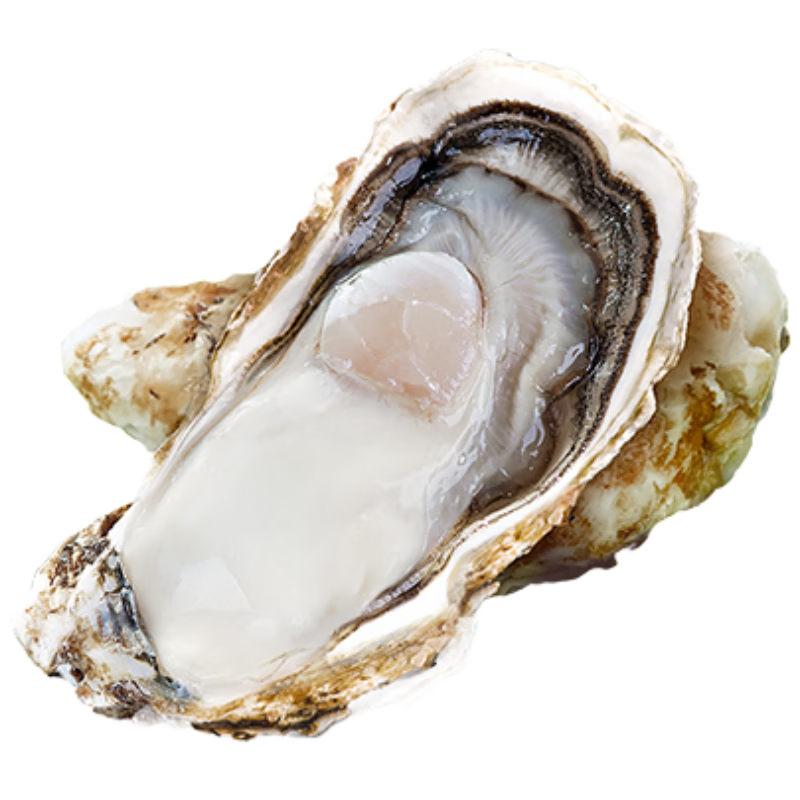 ���ڲ������ʺ��� �ʻ���ɽ��� 6XL ����10�� 12-18ֻ ���ʺ��ʱ��� Դͷֱ�� ������� 81.9Ԫ