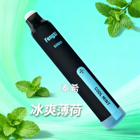 奉希辅助戒烟草本口气清新喷雾水果味可吸吐可充电一次性电子雾化棒 菠萝【8ml--5000口】