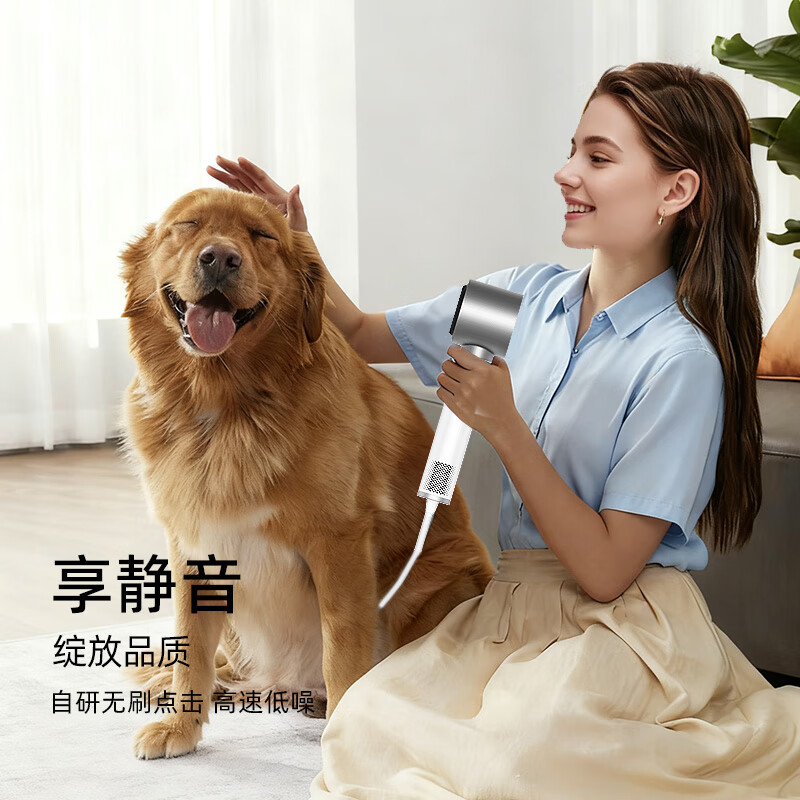 TODI高速吹风机 护发速干负离子电吹风 家用不伤发吹风筒尊享版 生日礼物送女友 月沙流银