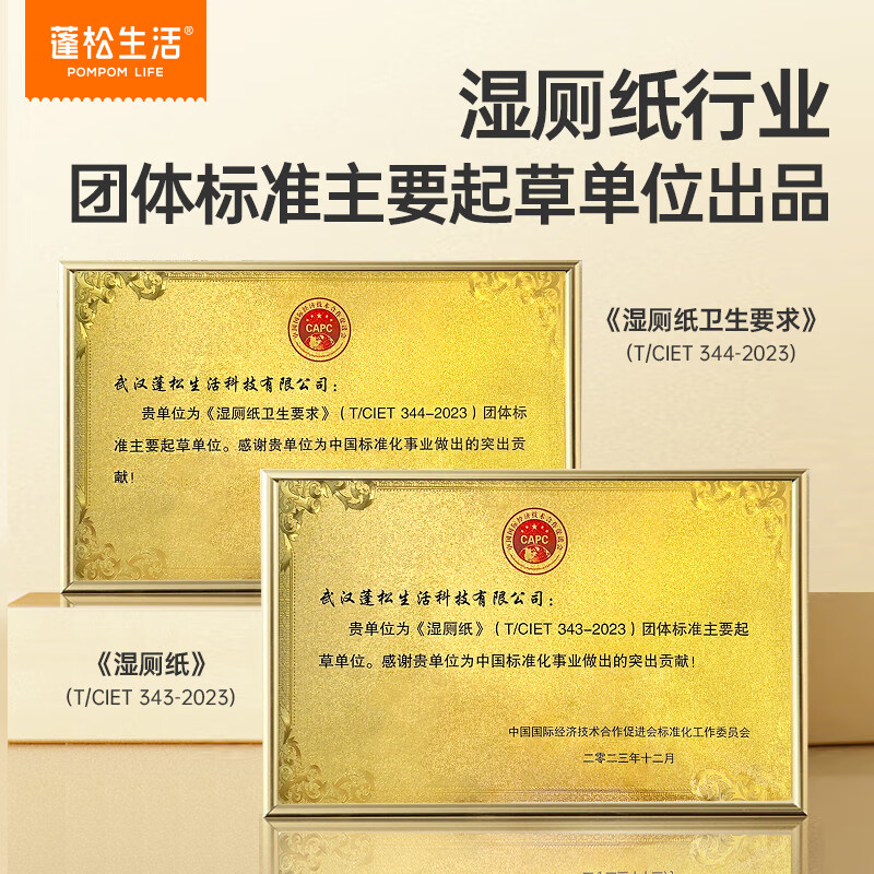 蓬松生活EDI纯水湿厕纸巾 私处湿巾 家用擦屁屁清洁可降解洁厕卫生湿手纸 80抽 3包