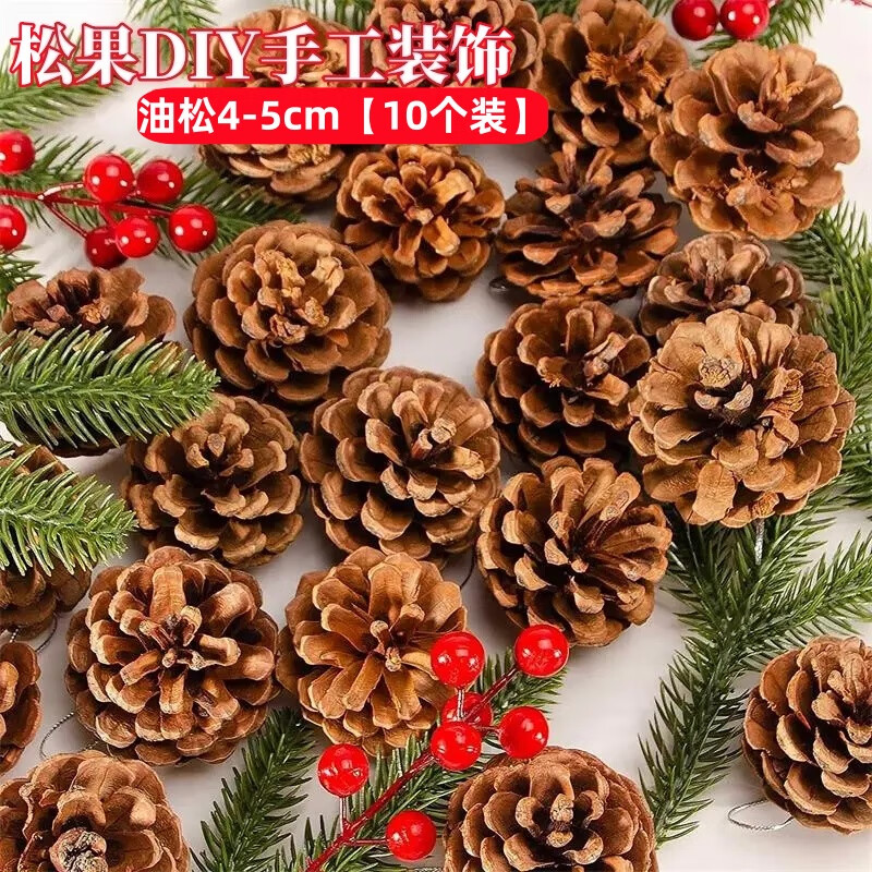 馨年松果松塔装饰diy材料包摆件干花幼儿园天然儿童手工环创树枝挂饰 油松4-5CM【10个装】