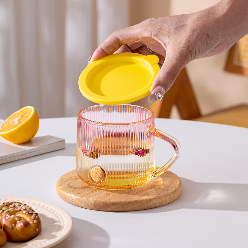 LOVWISHins风竖纹玻璃杯带把水杯家用饮料杯高颜值马克杯高级感咖啡杯子 乐映竖纹把杯【混色】350ml*2