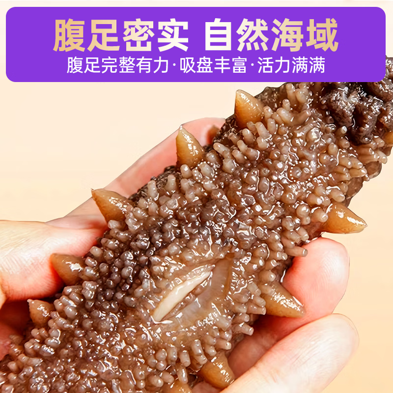 小兵海参候勇推荐-正宗辽参鲜食海参|正宗辽刺参|不挂冰|温水解冻即食 【1斤体验装】单斤直降100元 10-12头/斤