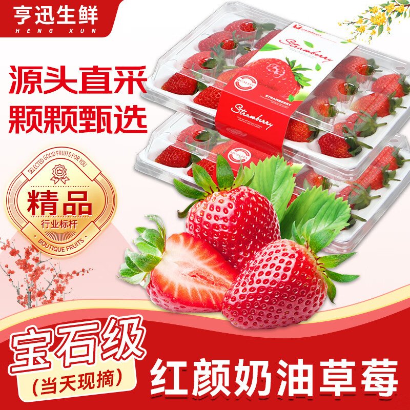 亨迅草莓大凉山99红颜奶油草莓非丹东草莓甜孕妇现摘新鲜时令水果生鲜 2盒装丨【现摘现发】净重600g