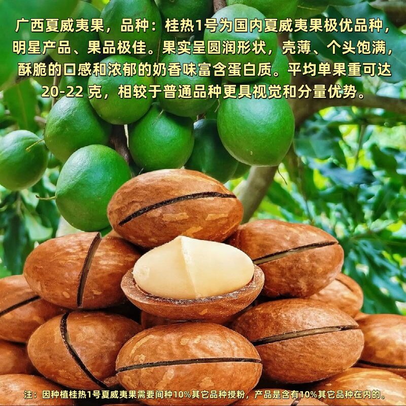 夏果佳仁夏威夷果 奶香味 原味 坚果零食热卖款 夏威夷果【中果268g】奶香味