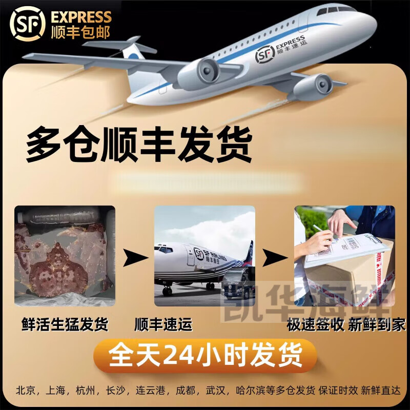 鲜活蟹俄罗斯进口10斤螃蟹帝皇蟹海鲜水产长腿礼盒 3.0-3.4斤【全国30仓 活蟹 保活