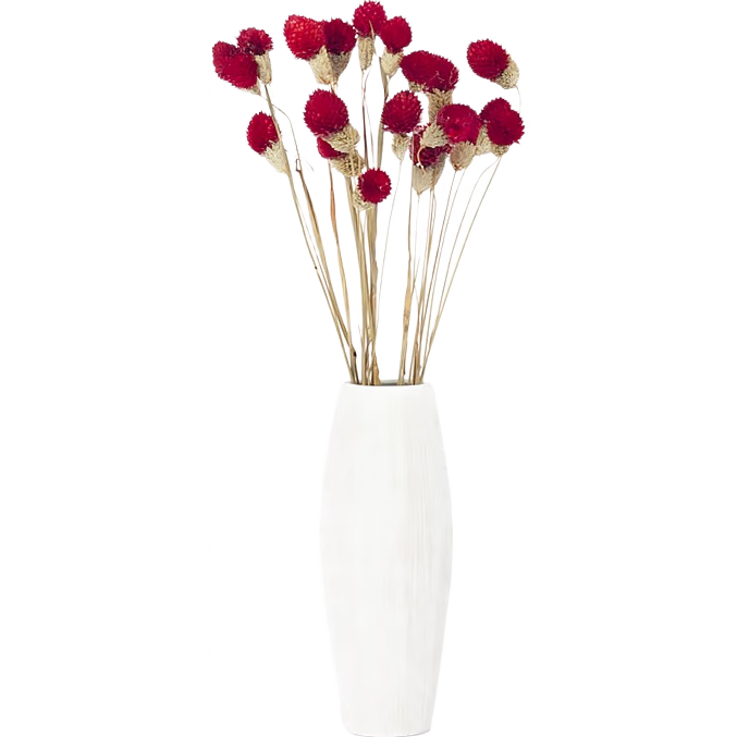 ɻֲɻ滨Ҹɻɫݮɻ칫ҿ輸ڷװ廨С ɫݮ12֧ƿ 12Ԫ