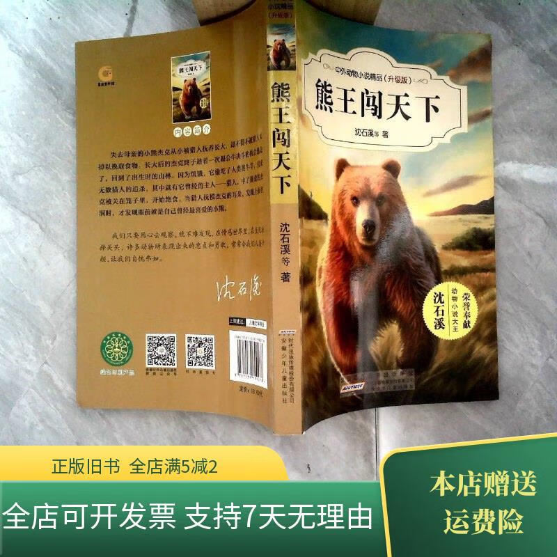 熊王闯天下 安徽少年儿童出版社