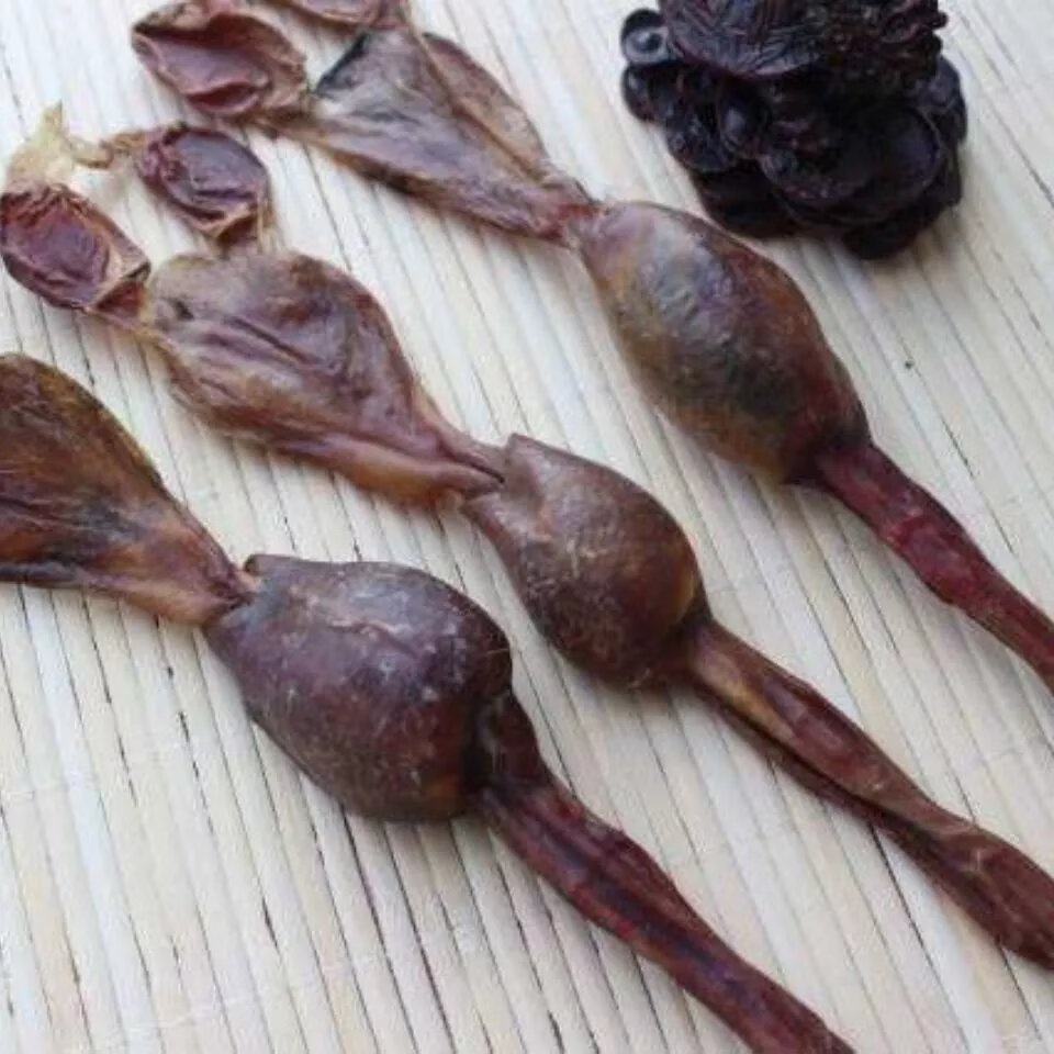 北京同仁堂 黑狗鞭 泡酒黑笨狗鞭中药材泡酒料养生泡酒料狗 滋补 20克