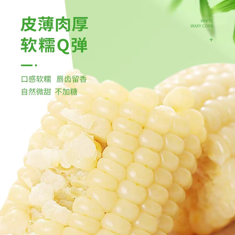 珍谷诱惑25年东北糯玉米新玉米黄糯玉米棒早餐玉米粗粮代餐零食 白糯玉米12支【单支180g以上】