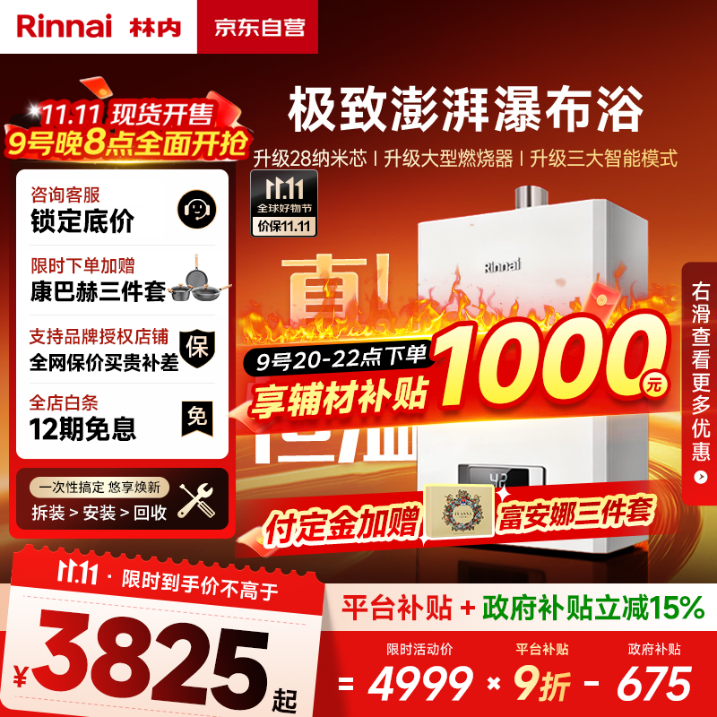 林内（Rinnai）【鲸吨吨白鲸】20升燃气热水器天然气【国家补贴15%】大水量 20GD31 (JSQ40-GD31)
