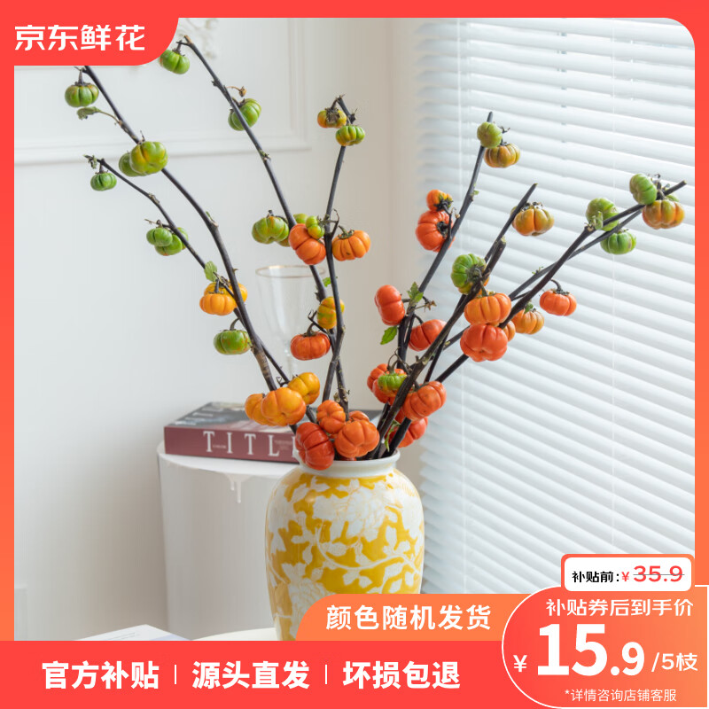 鲜切枝小南瓜一扎（3-5支）云南基地直发万圣节日氛围感鲜花 小南瓜一扎（3-5支）