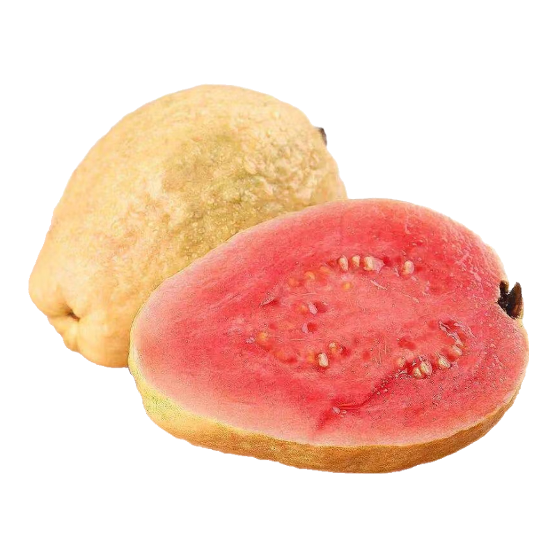 ���ڲ������������� ���İ��� ������Ŵ�Ϳ�ˮ�� 3�ﾻ��2.8�� ����100���� 19.9Ԫ