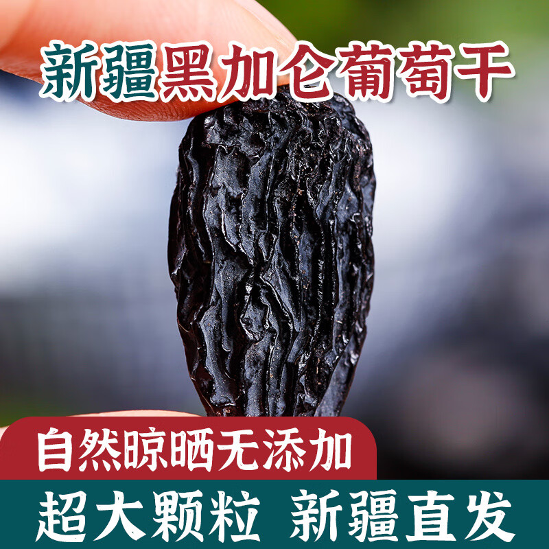 枣红栆杞黑加仑葡萄干2025新货新鲜新疆葡萄干吐鲁番特产散装无籽大提子干 特级大颗粒黑加仑4斤【 新疆发货】