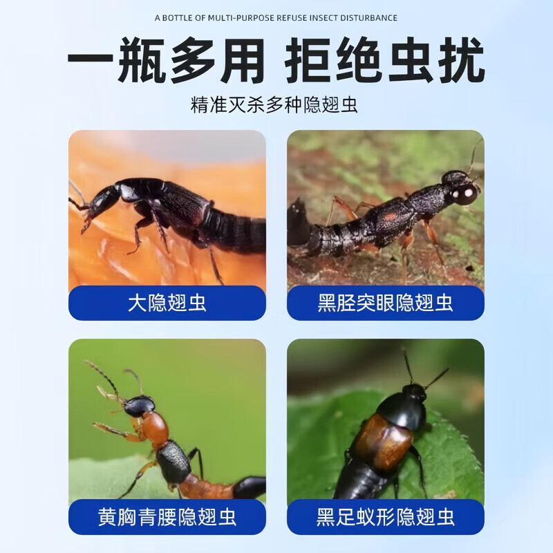 洛圣隐翅虫杀虫剂家用室内床上专用杀隐形虫药影翅克星驱灭去神器喷雾 2瓶装【虫卵双杀 免洗免晒】 高效灭虫
