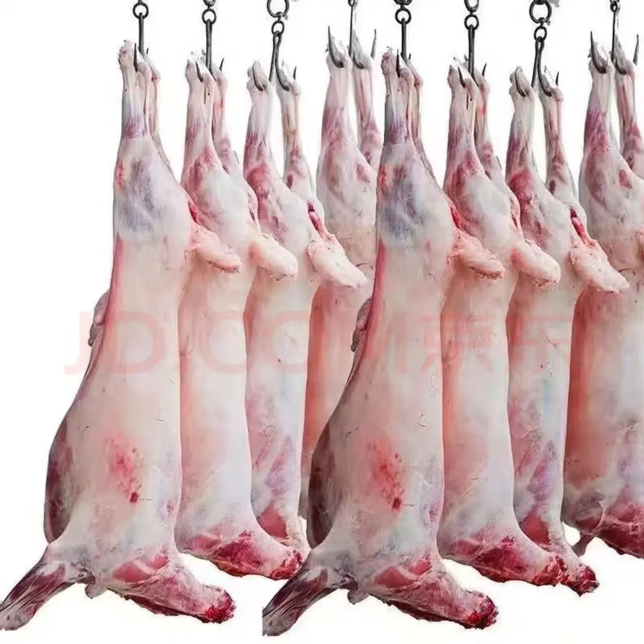 油六福【热销5W+】新疆整只全羊新鲜现杀大尾羊羔羊肉整羊羊腿企业送礼 全羊35斤（烤全羊）